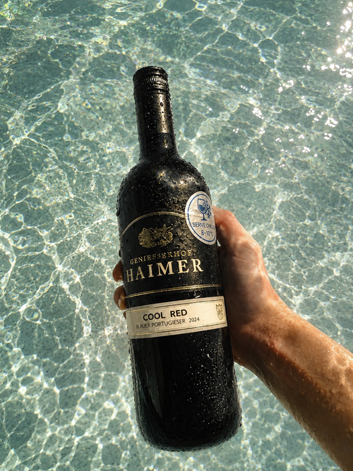 Cool Red - Blauer Portugieser 2024